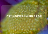 广东PUBG队员风采与OMG战队人员名单