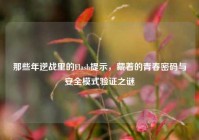 那些年逆战里的Flash提示，藏着的青春密码与安全模式验证之谜