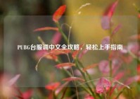 PUBG台服调中文全攻略，轻松上手指南