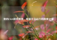 我的CSGO游戏困境，电脑无法运行的探索之旅