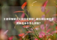 王者荣耀破次元萌技全揭秘！藏在峡谷里的企鹅极地身手怎么获取？