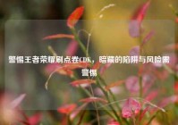警惕王者荣耀刷点卷CDK，暗藏的陷阱与风险需警惕