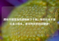 蹲和平精英海岛梧桐树下十局，等的从来不是红金三级头，是全网找的同款静静！