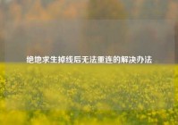 绝地求生掉线后无法重连的解决办法