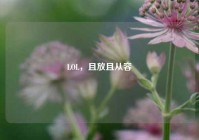 LOL，且放且从容