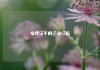 金牌乐手的逆战征程