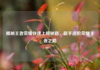揭秘王者荣耀快速上榜秘籍，新手进阶荣耀王者之路
