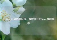在Steam开启热血征程，战地风云的Steam名称探寻