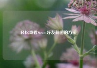 轻松查看Steam好友截图的方法