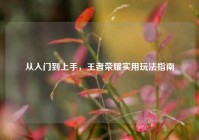 从入门到上手，王者荣耀实用玩法指南