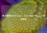 深入探究CSGO（Counter - Strike: Global Offensive）的全称号