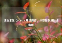 绝地求生（PUBG）开镜操作，从基础到进阶全解析