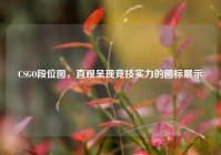 CSGO段位图，直观呈现竞技实力的图标展示