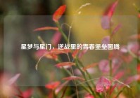 星梦与星门，逆战里的青春堡垒图腾