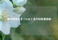 畅玩绝地求生（PUBG）全方位配置指南