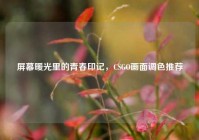 屏幕暖光里的青春印记，CSGO画面调色推荐