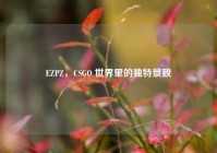EZPZ，CSGO 世界里的独特景致