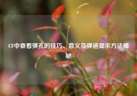CF中查看弹孔的技巧、意义及弹道显示方法揭秘