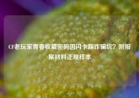 CF老玩家青春收藏密码因闪卡踩诈骗坑？附报案材料正规样本