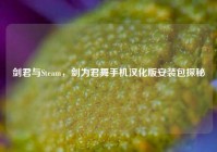 剑君与Steam，剑为君舞手机汉化版安装包探秘