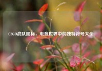 CSGO战队图标，电竞世界中的独特符号大全