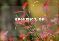 逆战中的萌韵担当，萌子