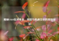 揭秘CSGO反冲炼金，风险与机遇交织的独特玩法