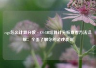 csgo怎么计算分数·CS:GO结算计分板查看方法详解：全面了解你的游戏表现
