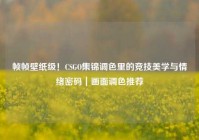 帧帧壁纸级！CSGO集锦调色里的竞技美学与情绪密码｜画面调色推荐