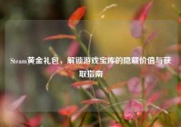 Steam黄金礼包，解锁游戏宝库的隐藏价值与获取指南