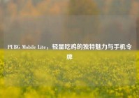 PUBG Mobile Lite，轻量吃鸡的独特魅力与手机令牌