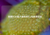 探秘PUBG真人版奇异Bug与免费安装