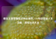 藏在王者荣耀指尖峡谷里的，一句话英雄人生注脚·简短台词大全