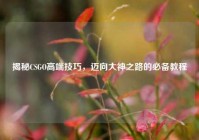 揭秘CSGO高端技巧，迈向大神之路的必备教程