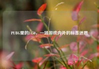 PUBG里的1450，一场游戏内外的标签迷思