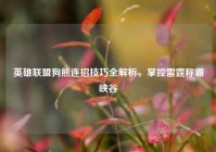 英雄联盟狗熊连招技巧全解析，掌控雷霆称霸峡谷