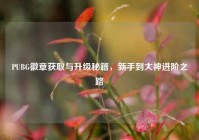 PUBG徽章获取与升级秘籍，新手到大神进阶之路