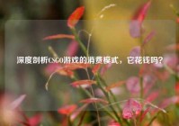 深度剖析CSGO游戏的消费模式，它花钱吗？