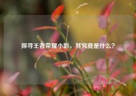 探寻王者荣耀小影，其究竟是什么？