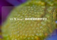 XSX 与 Steam，游戏领域的奇妙交汇