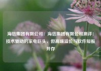 海信集团有限公司：海信集团有限公司测评：技术驱动的家电巨头，但高端溢价与软件短板并存
