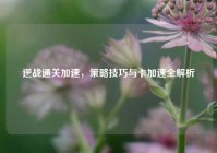 逆战通关加速，策略技巧与卡加速全解析