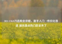2024 CSGO刀选购全攻略，新手入门→性价比首选 避坑盘点热门款全齐了