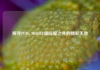 探寻PUBG MOBILE国际服之外的精彩天地