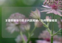 王者荣耀排行显示问题揭秘，为何荣耀难显