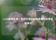 CS:GO拆单乱象，竞技环境的隐形毒瘤与拆单密码争议