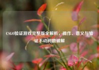 CSGO验证游戏完整版全解析，操作、意义与验证不动问题破解