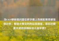 当CSGO硬核烟闪雷位教学撞上热粥配酱菜喂饭倒计时，解锁小葵花妈妈玩家图鉴，背后还藏着天津格林国际幼儿园学费？