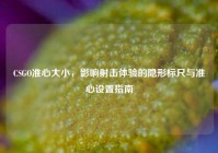 CSGO准心大小，影响射击体验的隐形标尺与准心设置指南