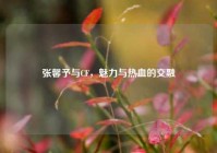 张馨予与CF，魅力与热血的交融